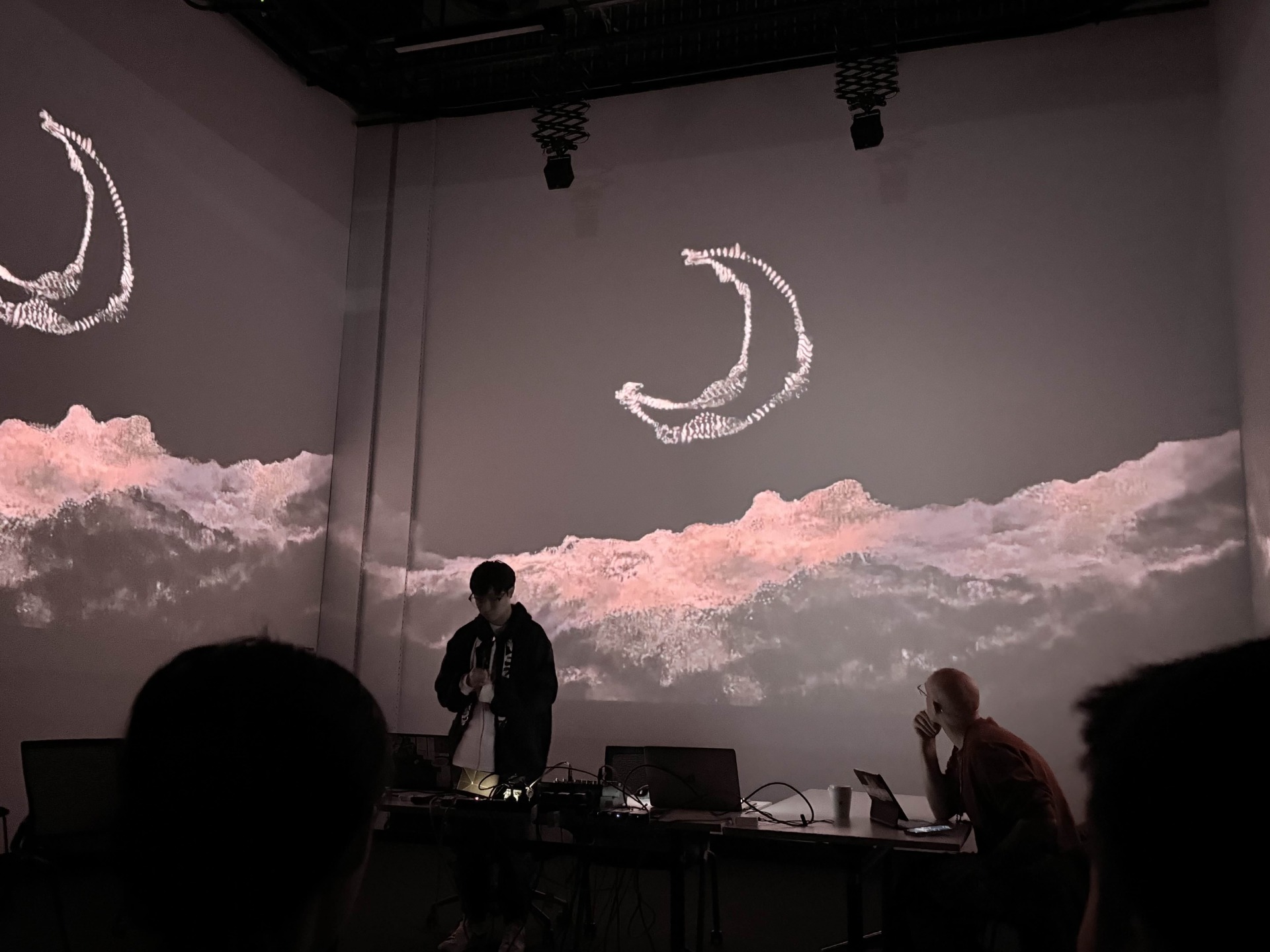 Screening presentation
